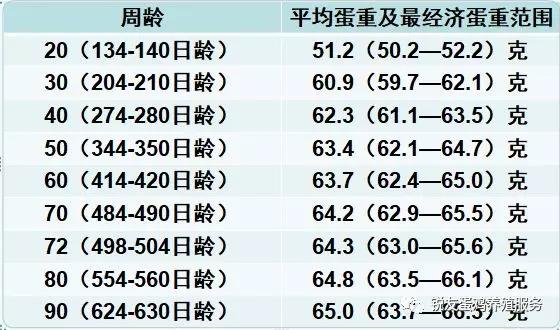 关于蛋重,你应该知道的:不是越重越好!