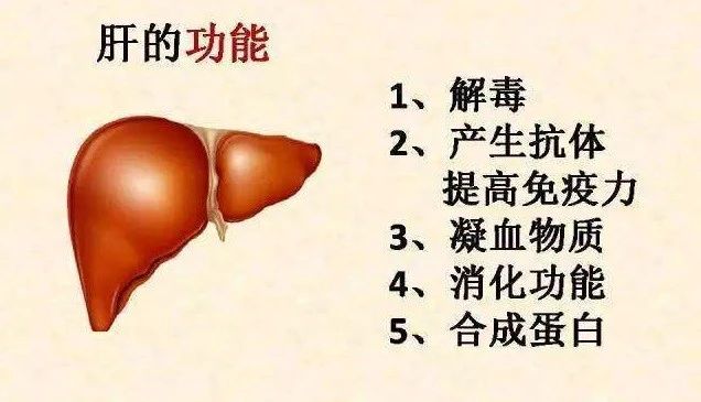 春天蛋鸡不保肝,夏天零星伤亡愁得慌!发酵辣椒粕来帮忙