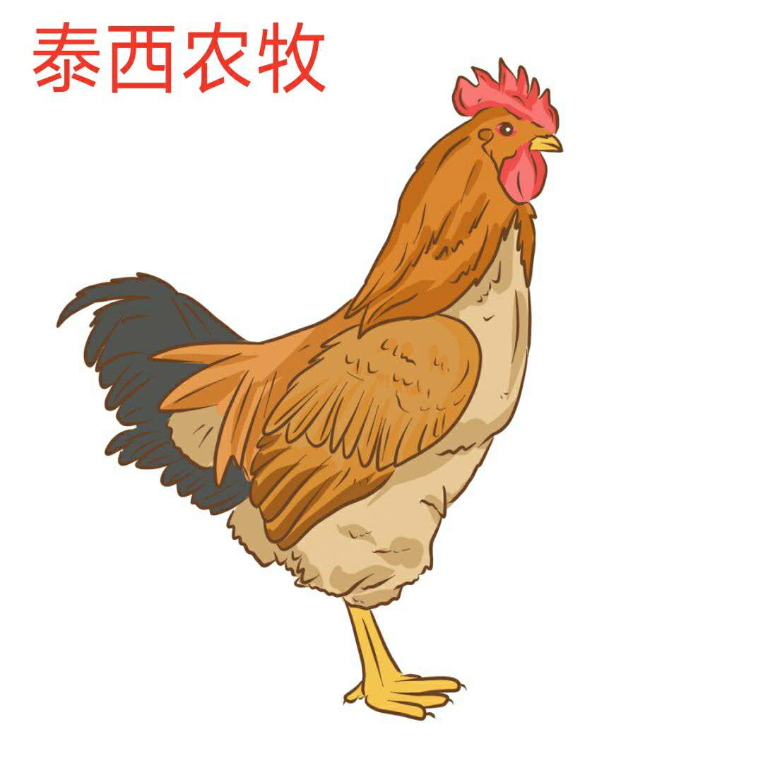 发酵辣椒粕好不好,我说了算。