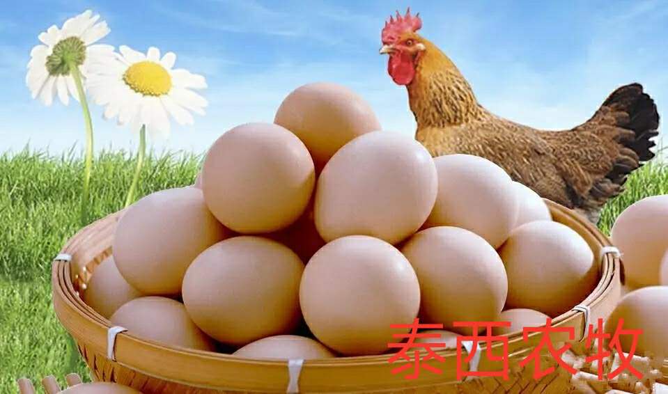 夏季使用乳化均衡油粉有哪些优势?