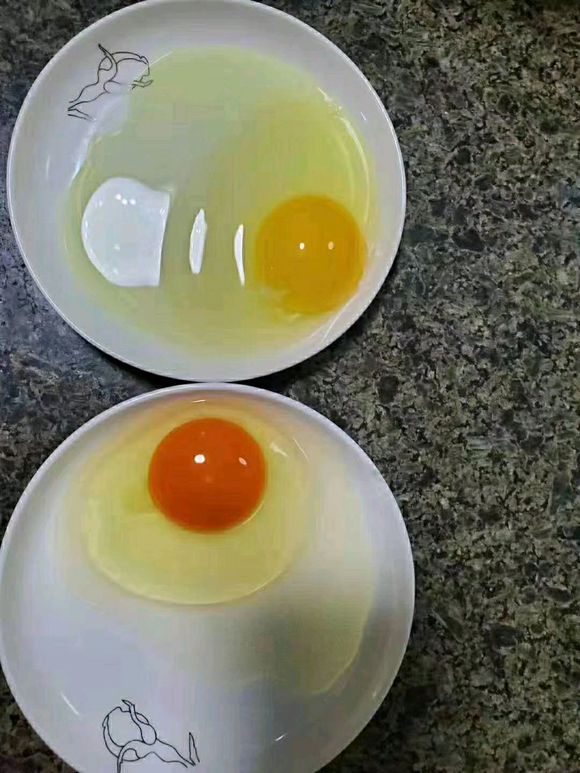 乳化油脂粉的添加作用!