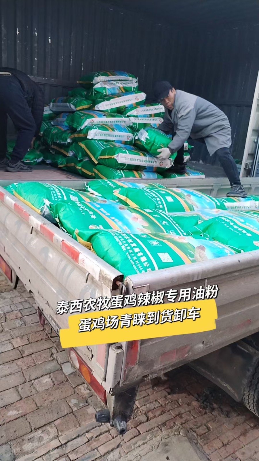 泰西农牧蛋鸡辣椒油粉完全可以替代其他油脂与油脂饲料