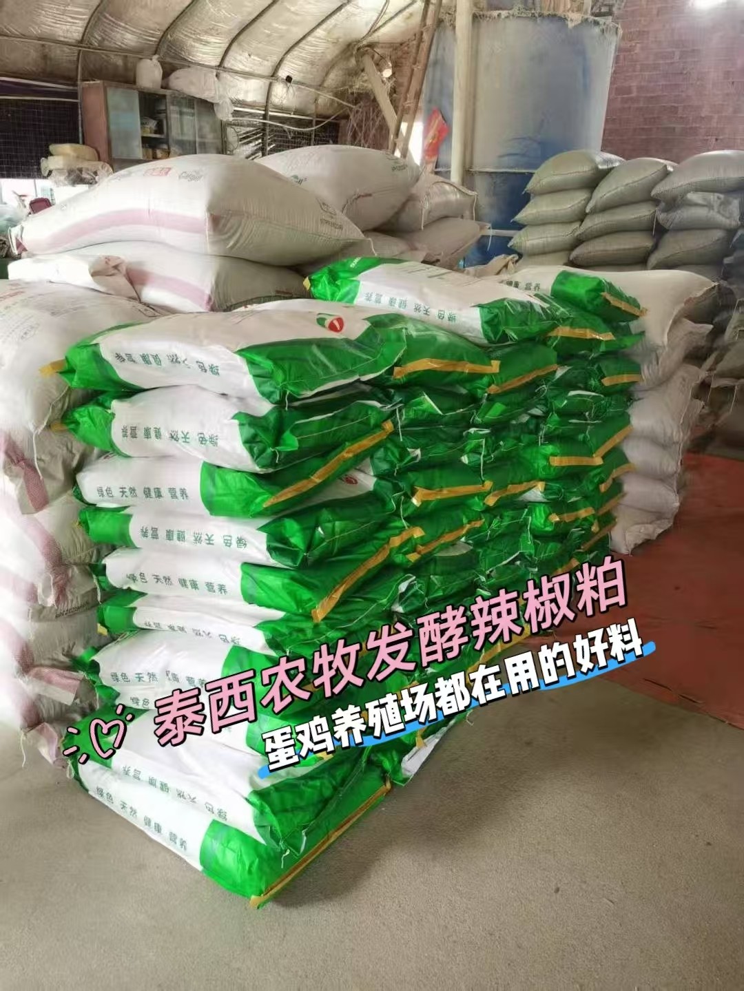 泰西农牧发酵辣椒粕夏季蛋鸡养殖的好处