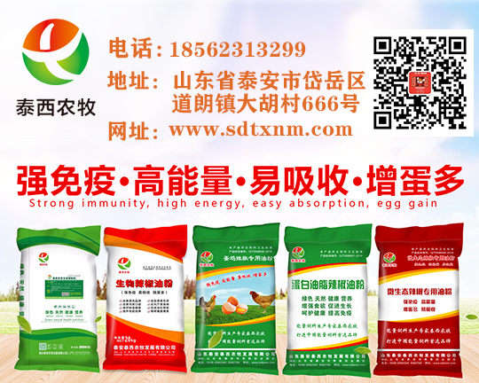 夏天养蛋鸡最怕采食量下降，可以这么办！