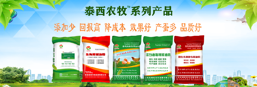 泰西农牧蛋鸡辣椒油粉提醒您提高蛋鸡产蛋率，做好这些全面了解！