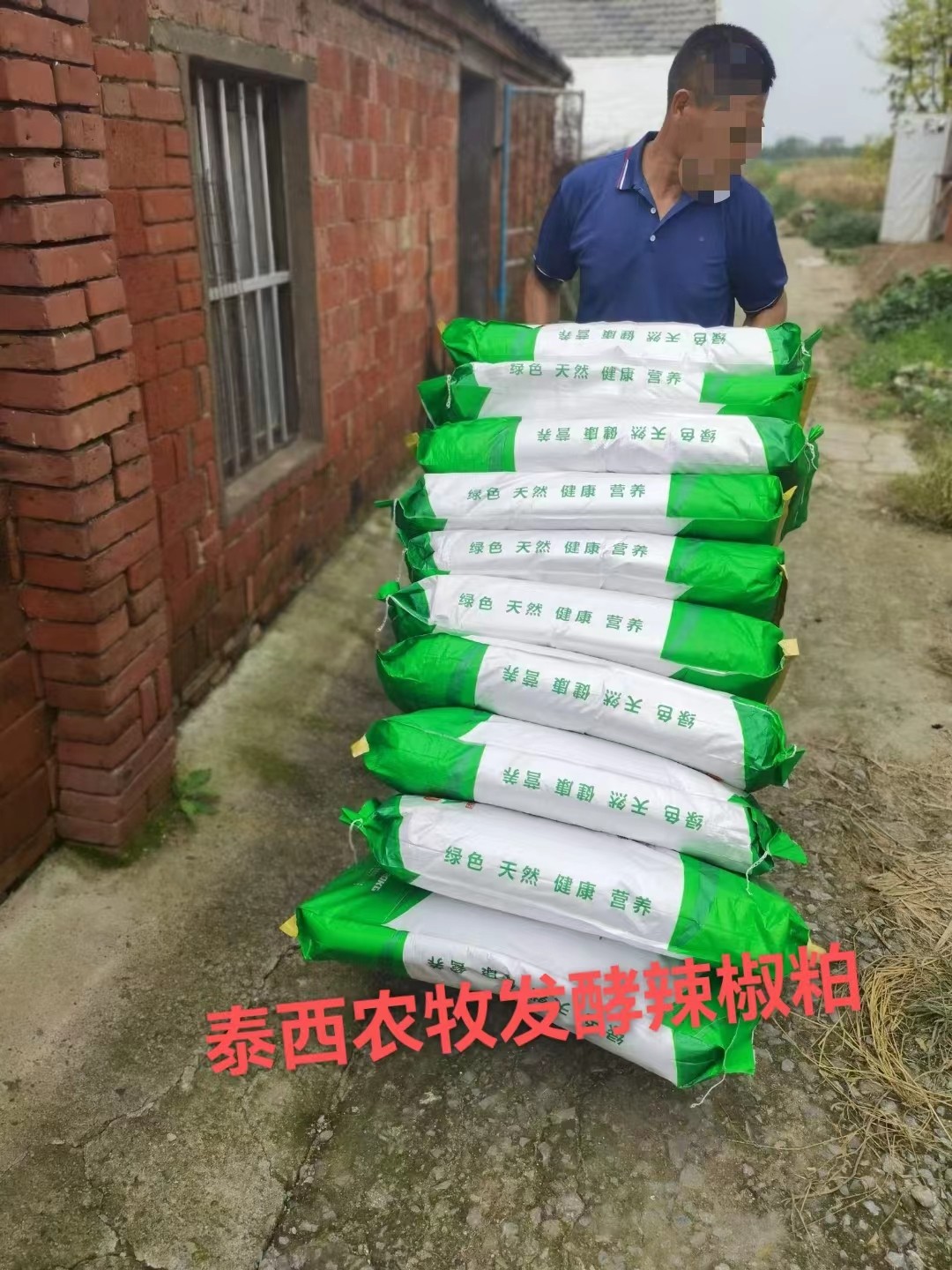 蛋鸡肠道健康饲养管理策略添加发酵辣椒粕省钱增效